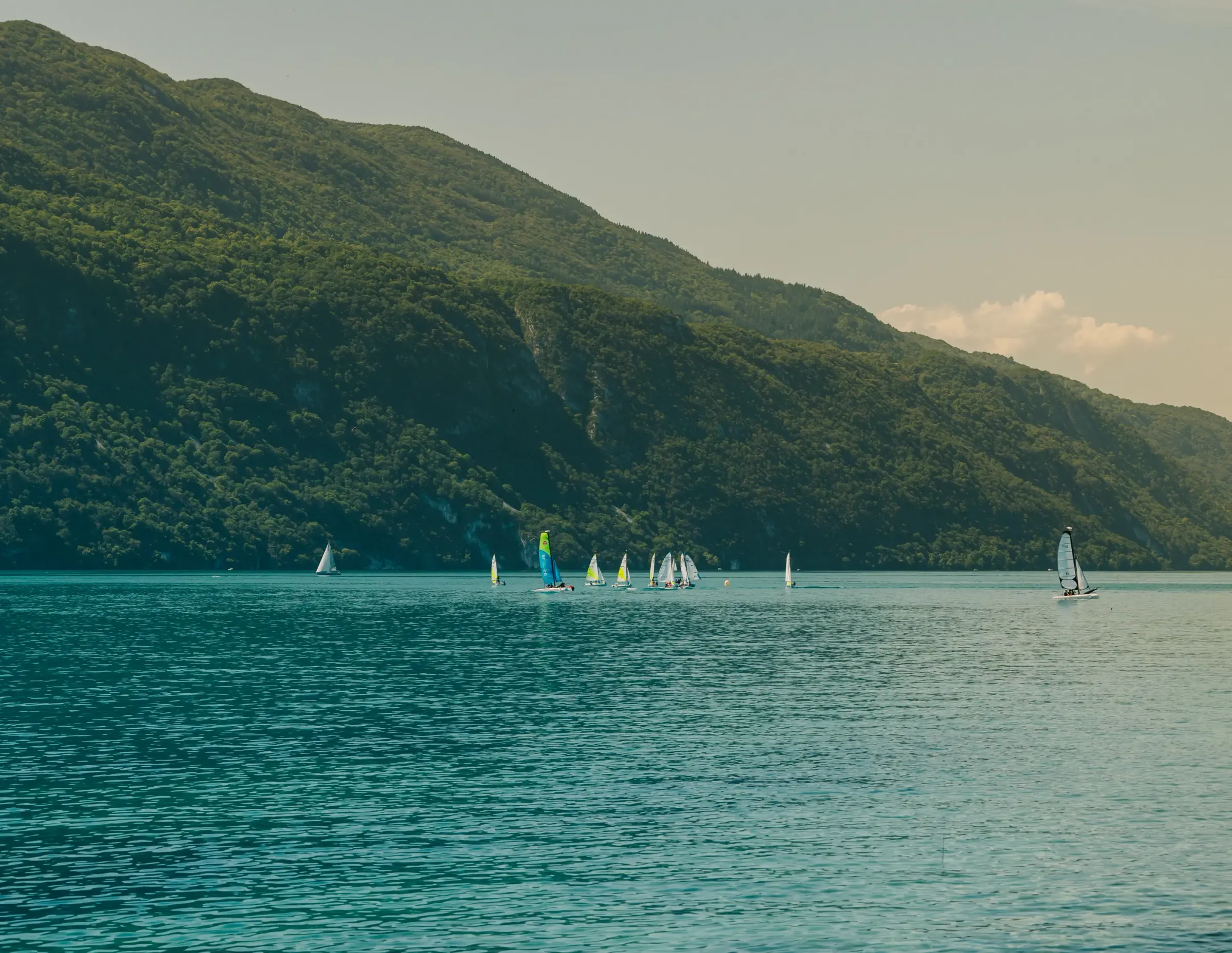 Plusieurs voiliers naviguent sur un lac entouré de collines boisées