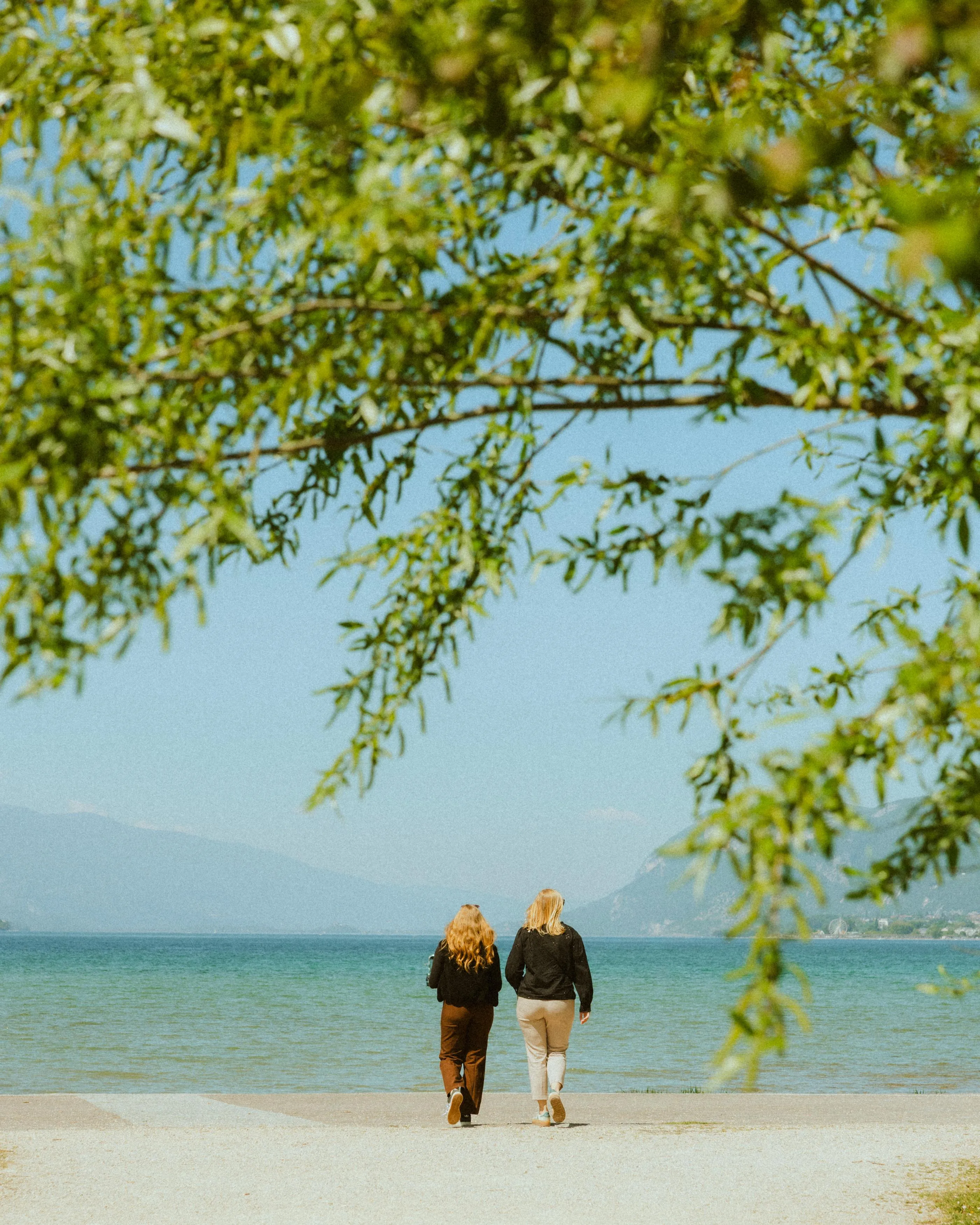 Deux personnes marchent côte à côte sur une plage face à la mer, avec des arbres en premier plan et des montagnes au loin
